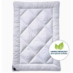 Billerbeck, Duvet, 325 BALLADE (Hohlfaser, Polyester, 155 x 220 cm)