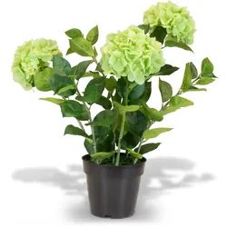 Hortensie (Hydrangea) Kunstpflanze mit 3 Blüten 64 cm Grün