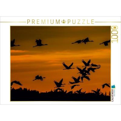 CALVENDO Puzzle Kraniche an der Ostsee | 1000 Teile Lege-Größe 64 × 48 cm Foto-Puzzle für glückliche Stunden