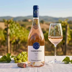 Allegrini 2022 Allegrini Poggio al Tesoro Cassiopea Rosé Toscana 2022 Cabernet Franc,Merlot Italien