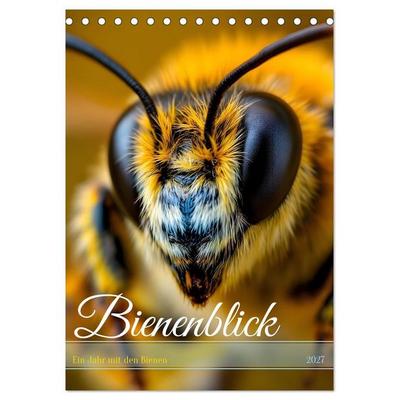 Bienenblick – Ein Jahr mit den Bienen (Tischkalender 2027 DIN A5 hoch), CALVENDO Monatskalender
