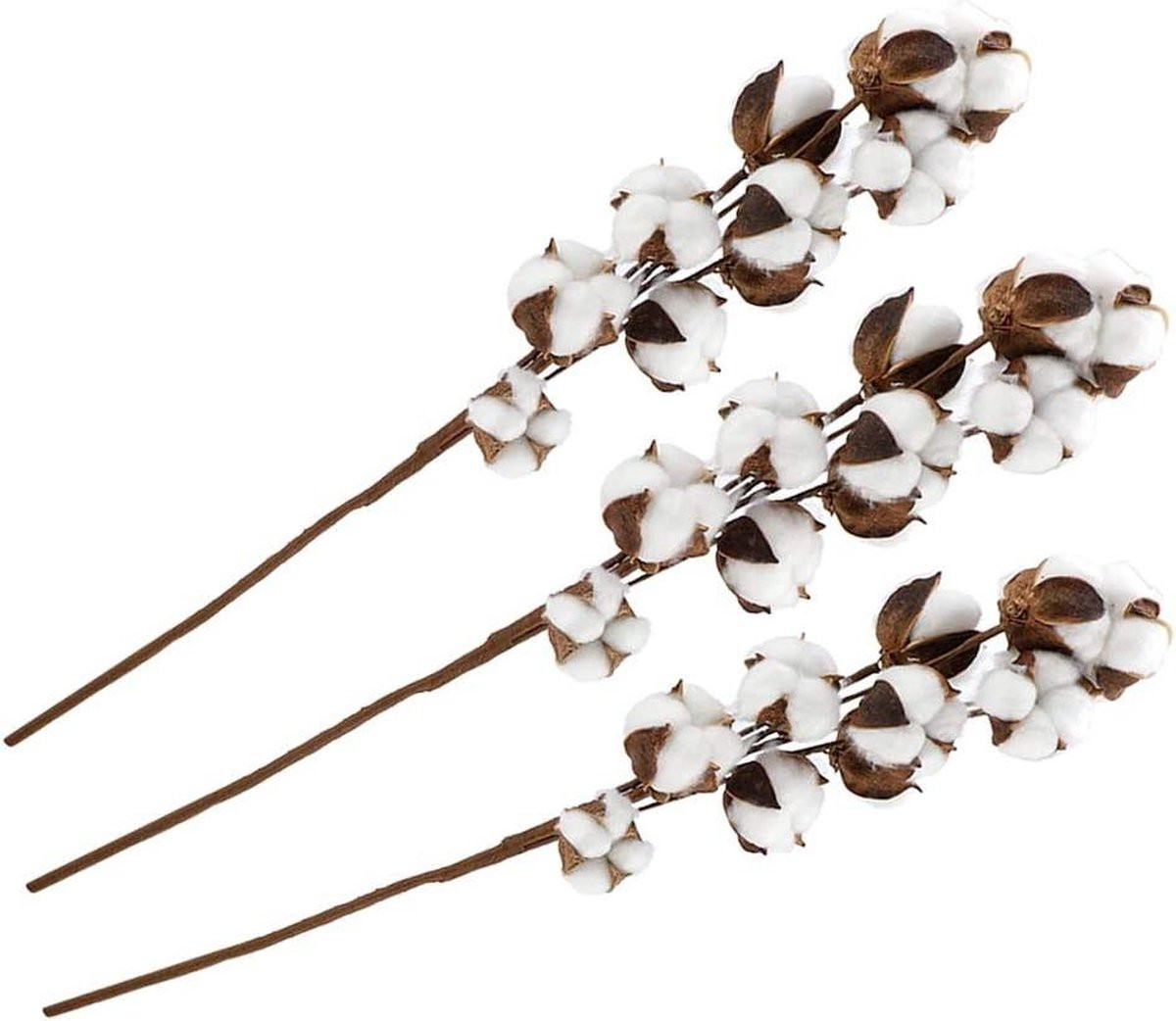 3 stuks Natuurlijke Gedroogde Katoen Stengels Kapok voor Bruiloft Decoratie, 60 cm