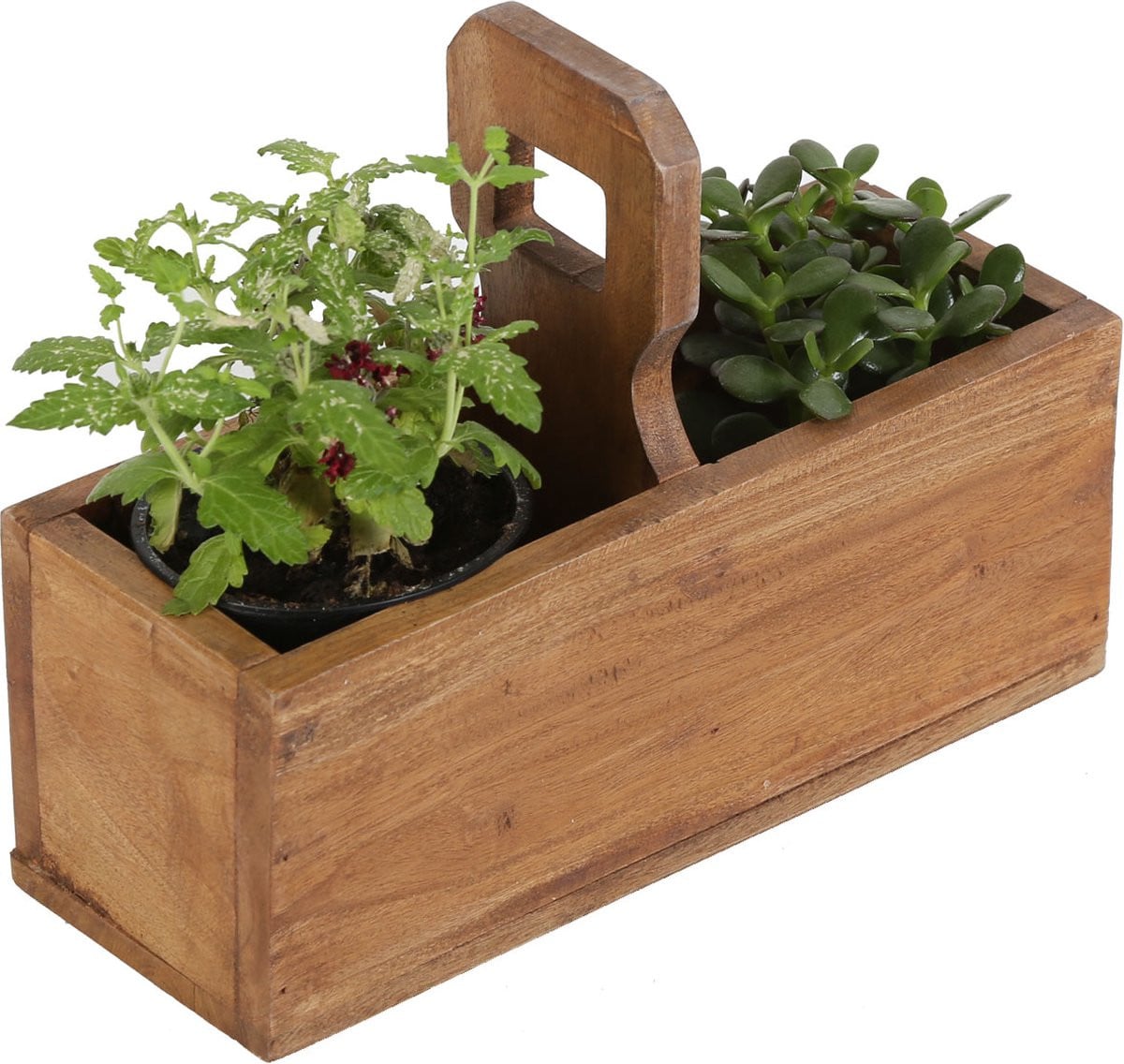 Casa Moro Plantenbox Viola, Bruin, Natuur, 30 x 12 x 12 cm