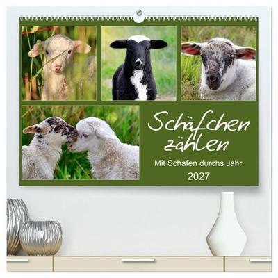 Schäfchen zählen - Mit Schafen durchs Jahr (hochwertiger Premium Wandkalender 2027 DIN A2 quer), Kunstdruck in Hochglanz