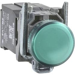 Schneider Electric XB4BVM3 Leuchtmelder Grün 230 V 1 St. Piece