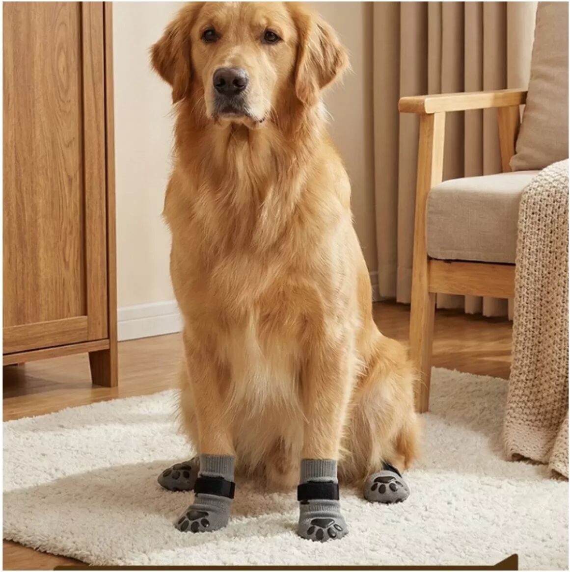 INF Rutschfeste Hundesocken mit doppelseitigem Klebeband – Pfotenschutz & Bodensicherheit L Grau