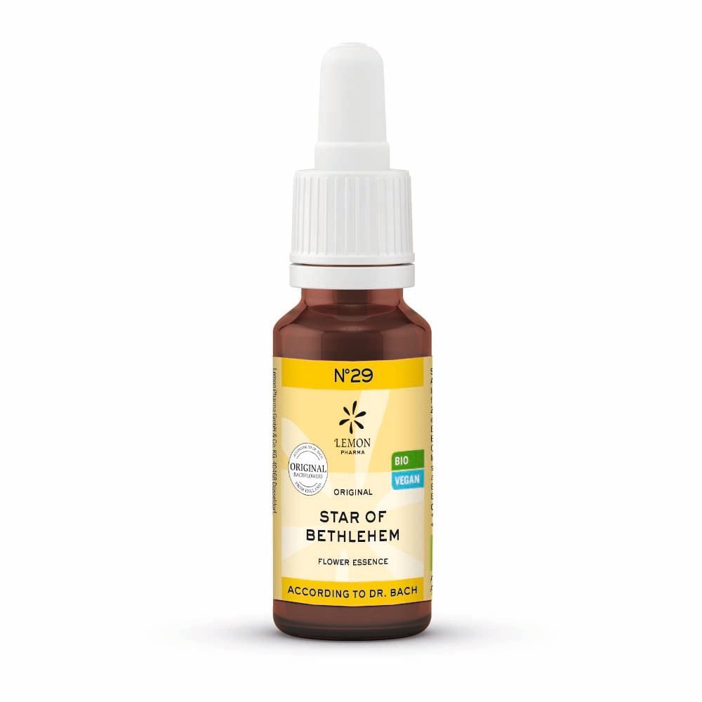 Bachblüten No.29 Star of Bethlehem Bio 20 ml Lösung