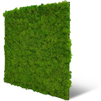 Wandpaneel ARCHITECTS PAPER "A.S. Création Modular Wall Wandpaneel Naturmoos", grün (maigrün, grün), B/L: 52cm x 52cm, Textil, Paneele, Konserviertes Naturmoos auf rPET-Filz – pflegeleicht ohne Gießen