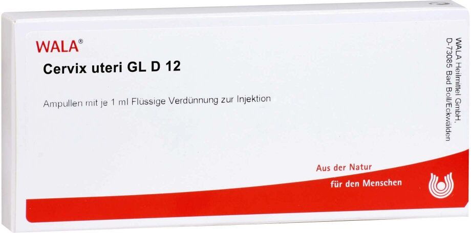 Cervix Uteri Gl D12 Ampullen