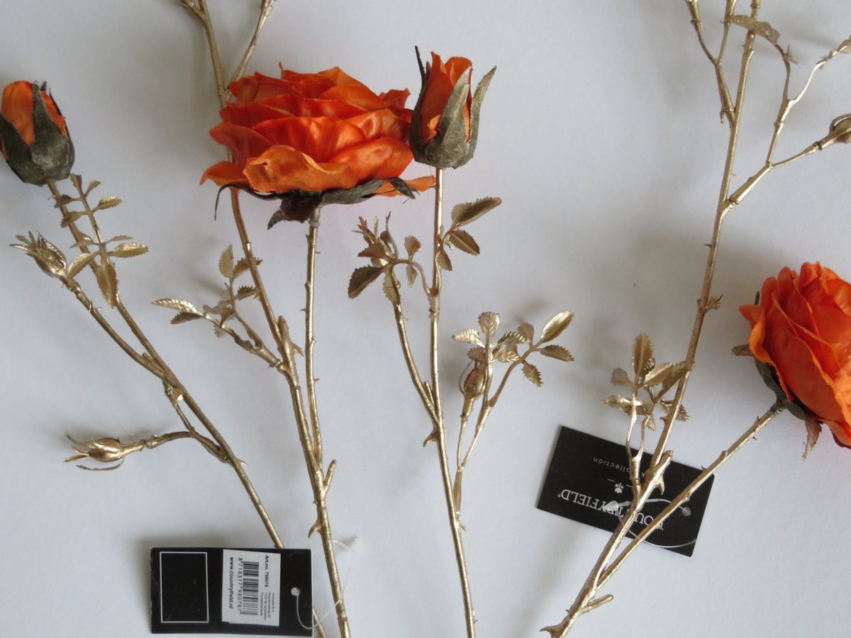 Countryfield Rosa S Oranje