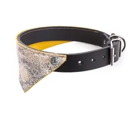 Martin Sellier Malibu (30, Hund, Hundesport, Spazieren), Halsband + Leine