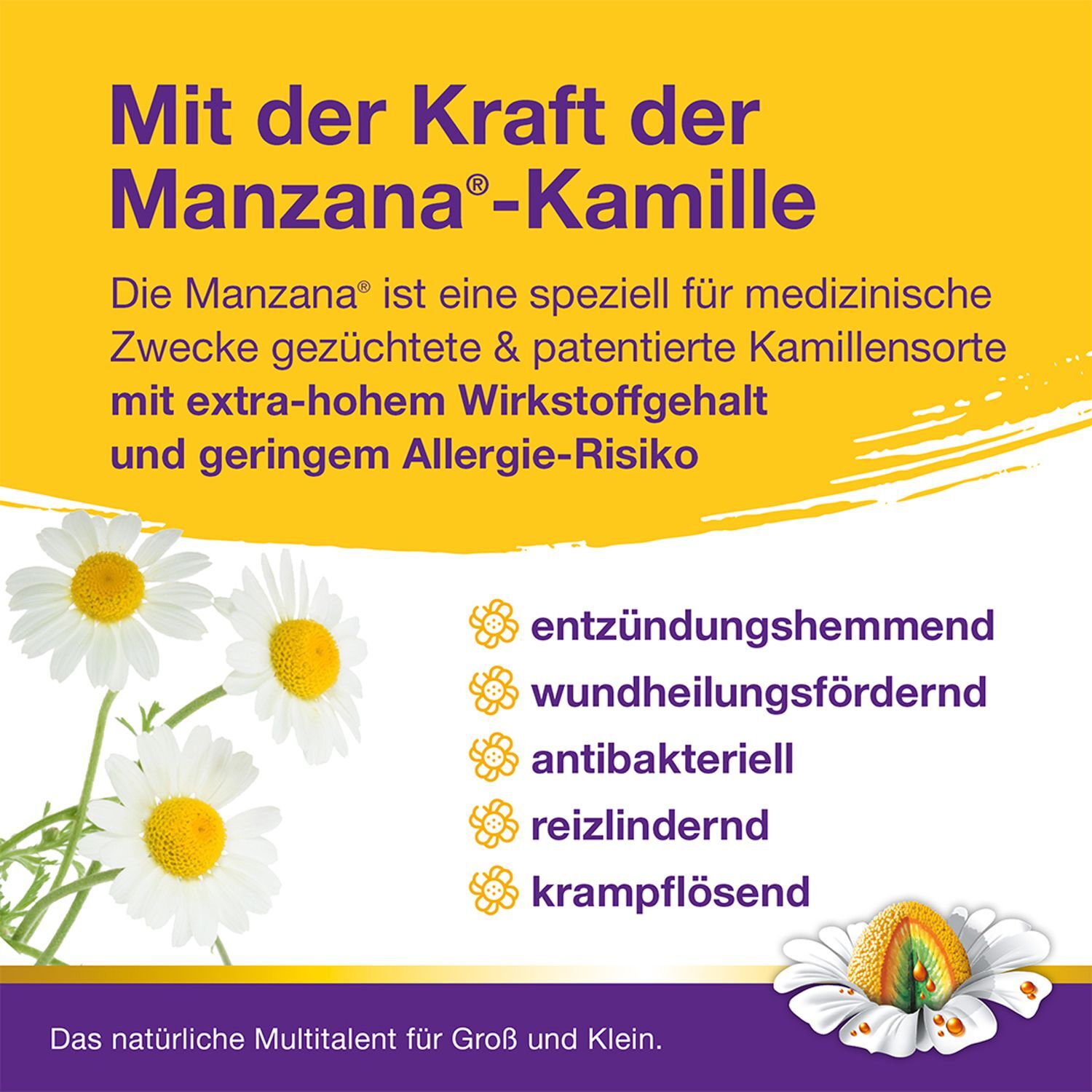 Kamillosan Konzentrat 250 ml