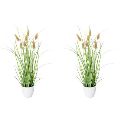 Kunstgras CREATIV GREEN "Grasbusch Lagurus", grün, H:40cm Ø:12cm, Kunststoff, Kunstpflanzen