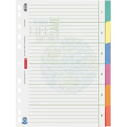 BRUNNEN Ordnerregister Vollformat blanko DIN A4