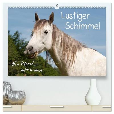 Lustiger Schimmel - ein Pferd mit Humor (hochwertiger Premium Wandkalender 2027 DIN A2 quer), Kunstdruck in Hochglanz