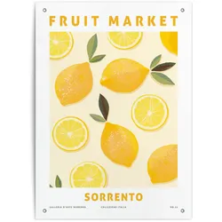 Outdoor Poster LEMONS (BH 56x78 cm) - bunt - BH 56x78 cm