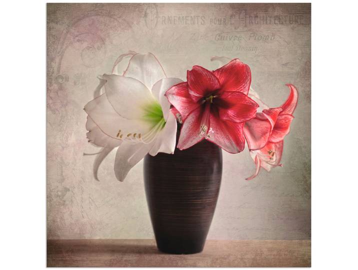 Alu-Dibond-Druck ARTLAND Amaryllis Vintage I , beige (farbe bild(er): naturfarben), B:30cm H:30cm, Bilder, Alu-Dibond-Druck, für Innen- und Aussenbereich geeignet, Outdoorbild