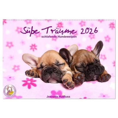Süße Träume 2026 - schlafende Hundewelpen (Wandkalender 2026 DIN A2 quer), CALVENDO Monatskalender
