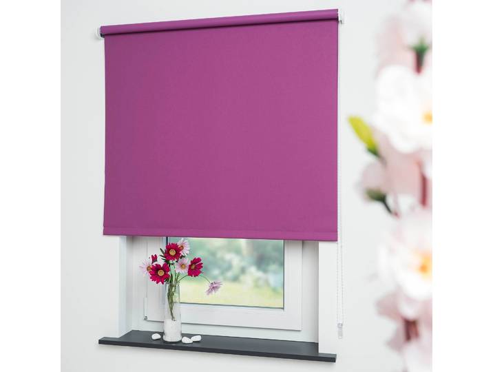 Seitenzugrollo LIEDECO Uni Gr. 1, lila (brombeere), B:62cm H:180cm, Polyester, Rollos, Seitenzugrollo