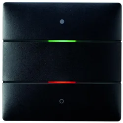 Theben 4801412 LUXORliving-Tastsensor mit 2 Tasten und 2 Status-LEDs, integrierter Temperatursensor, Farbe schwarz LUXORliving iON2 BK
