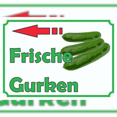 HB-Druck Frische Gurken Verkaufsschild Schild Pfeil links A3 (297x420mm)