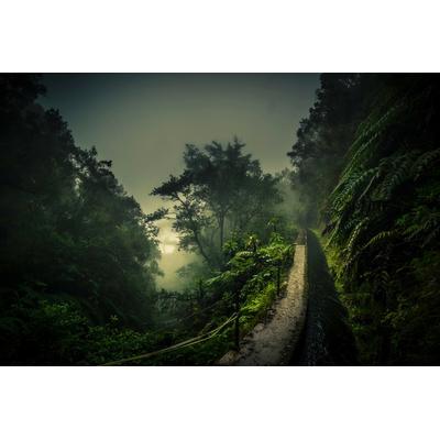 Fototapete PAPERMOON "Photo-Art ROLAND WEBER, LEVADA WALK", bunt, B:4,5m L:2,8m, Vlies, Tapeten