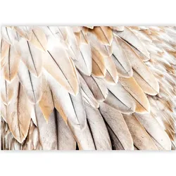 Artgeist, Tapete, Fototapete - Close-up of bird's wings - uniform close-up on beige bird feathers (250 x 175 cm)