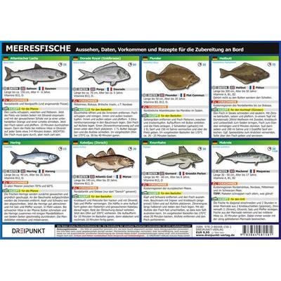 Info-Tafel-Set Meeresfische, Sonstige von Michael Schulze, Schulze Media, 978-3-86448-158-1