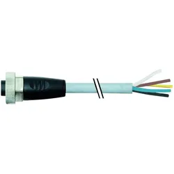 Murr Elektronik 7/8 Buchse, Elektronikkabel + Stecker, Grau