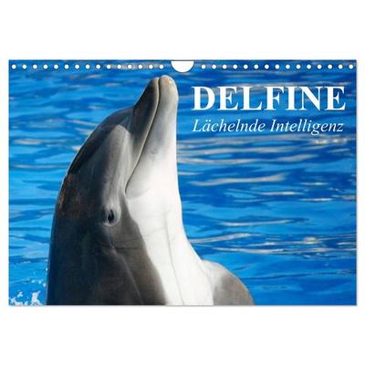 Delfine - Lächelnde Intelligenz (Wandkalender 2026 DIN A4 quer), CALVENDO Monatskalender