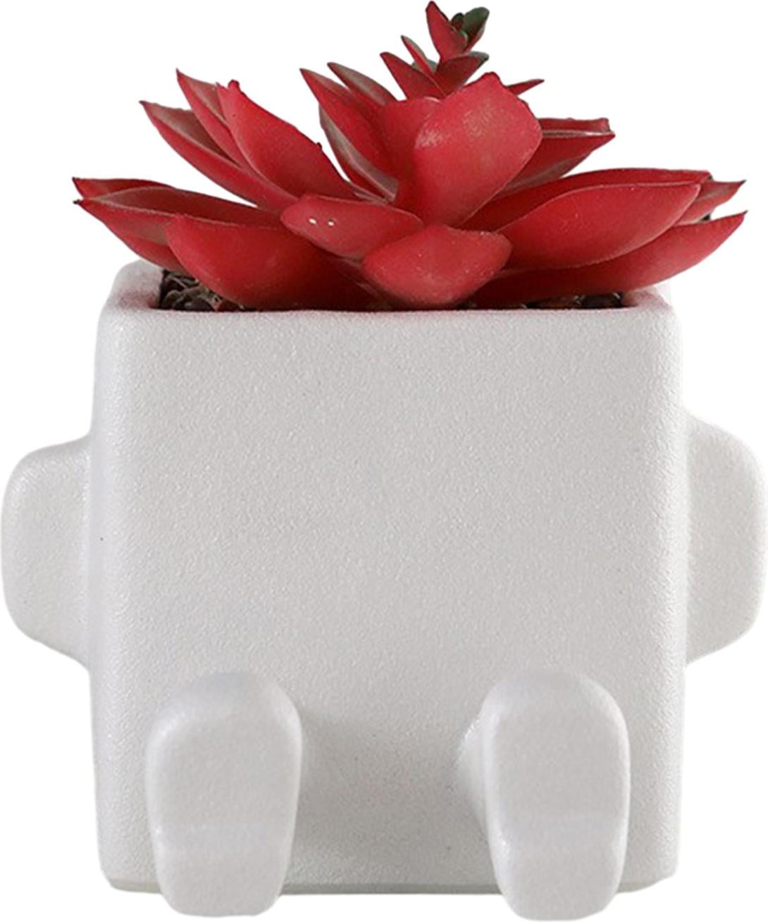 Cocosity Keramische plantpot voor vetplanten voor binnen en buiten