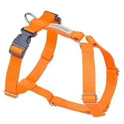 Amiplay Guard Samba XL verstellbarer Gurt Orange
