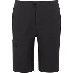 Regatta Highton II kurze Wanderhose Herren ash 33