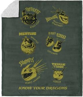 How to Train Your Dragon Know Your Dragons Silk Touch Sherpa Throw Blanket 50x60 inches by THE NORTHWEST GROUP in Know Your Dragons (Size OS)