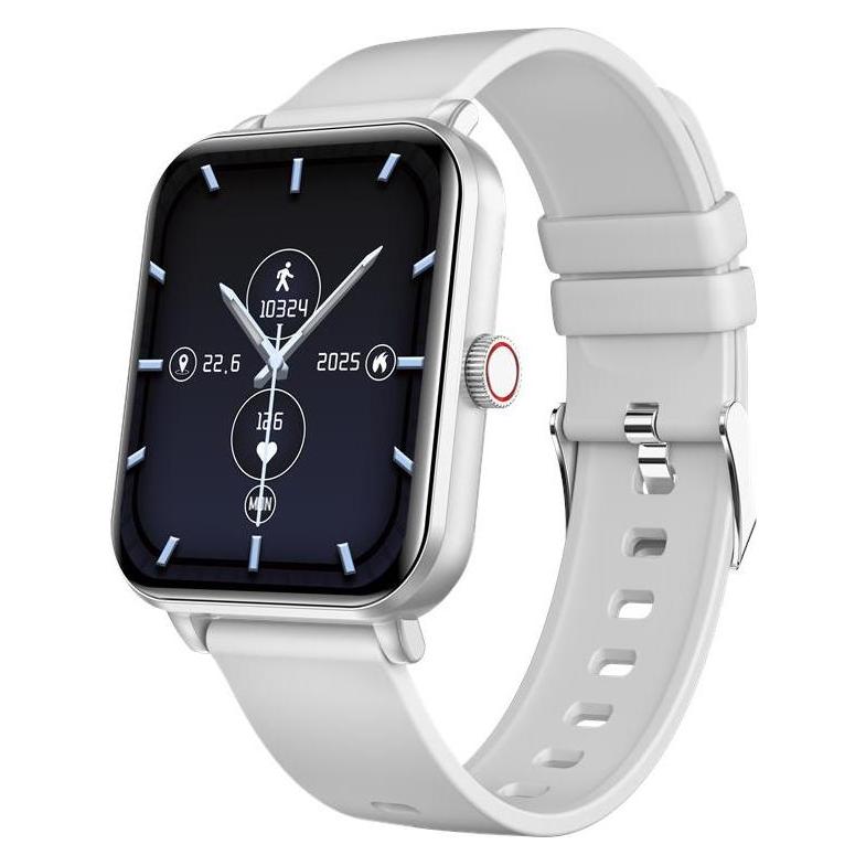 Myphone Watch Classic 2 silver (ohne SIM) (SMA002923)