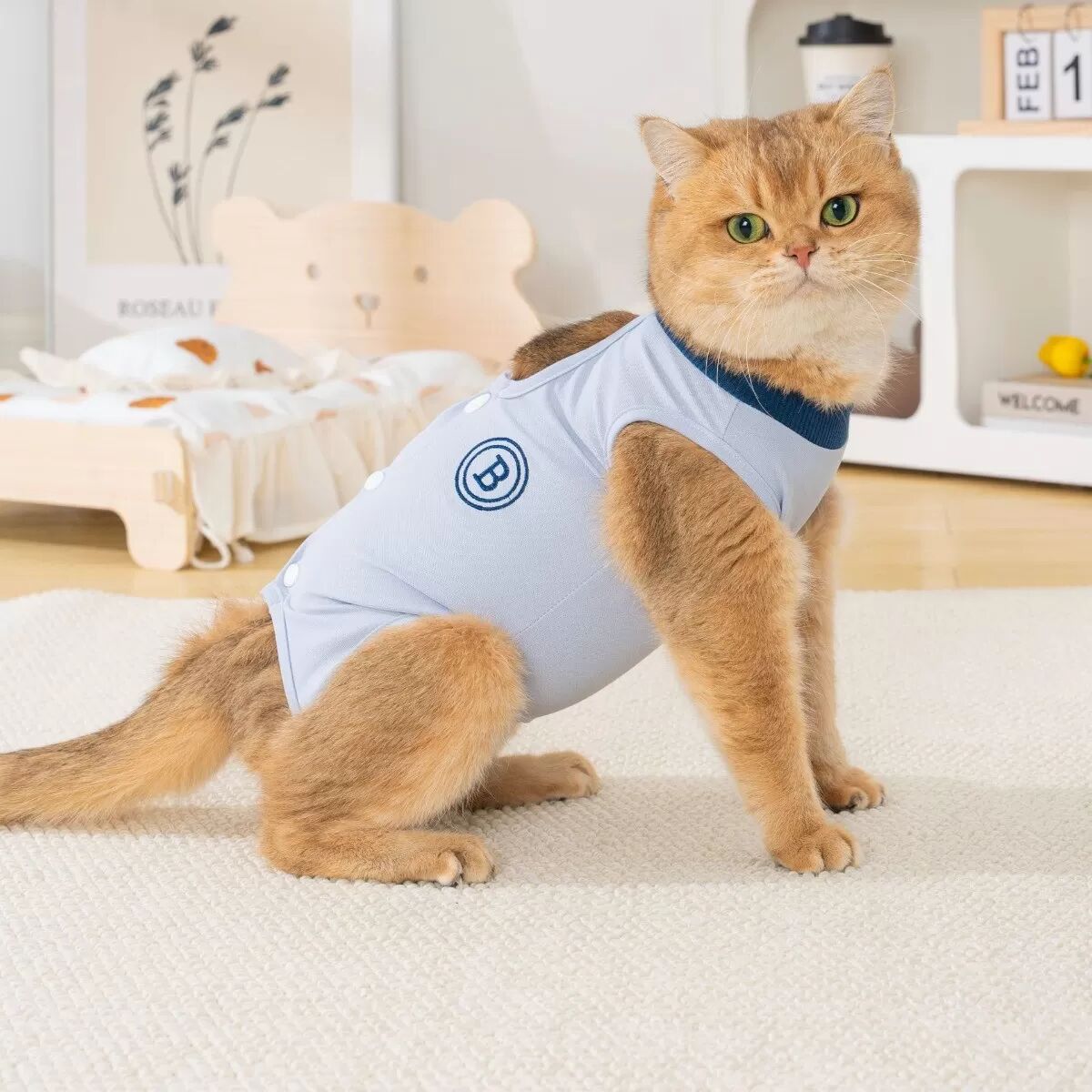 INF Combinaison de récupération estivale en polyester pour chat - Anti-léchage post-opératoire et post-partum (Bleu / Bleu XL