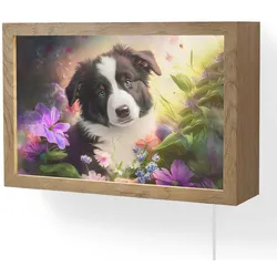 WANDLEUCHTE Welpe - Sonne - Blumen - Natur - Border Collie - Hund LED 30x20 cm Wandlampe