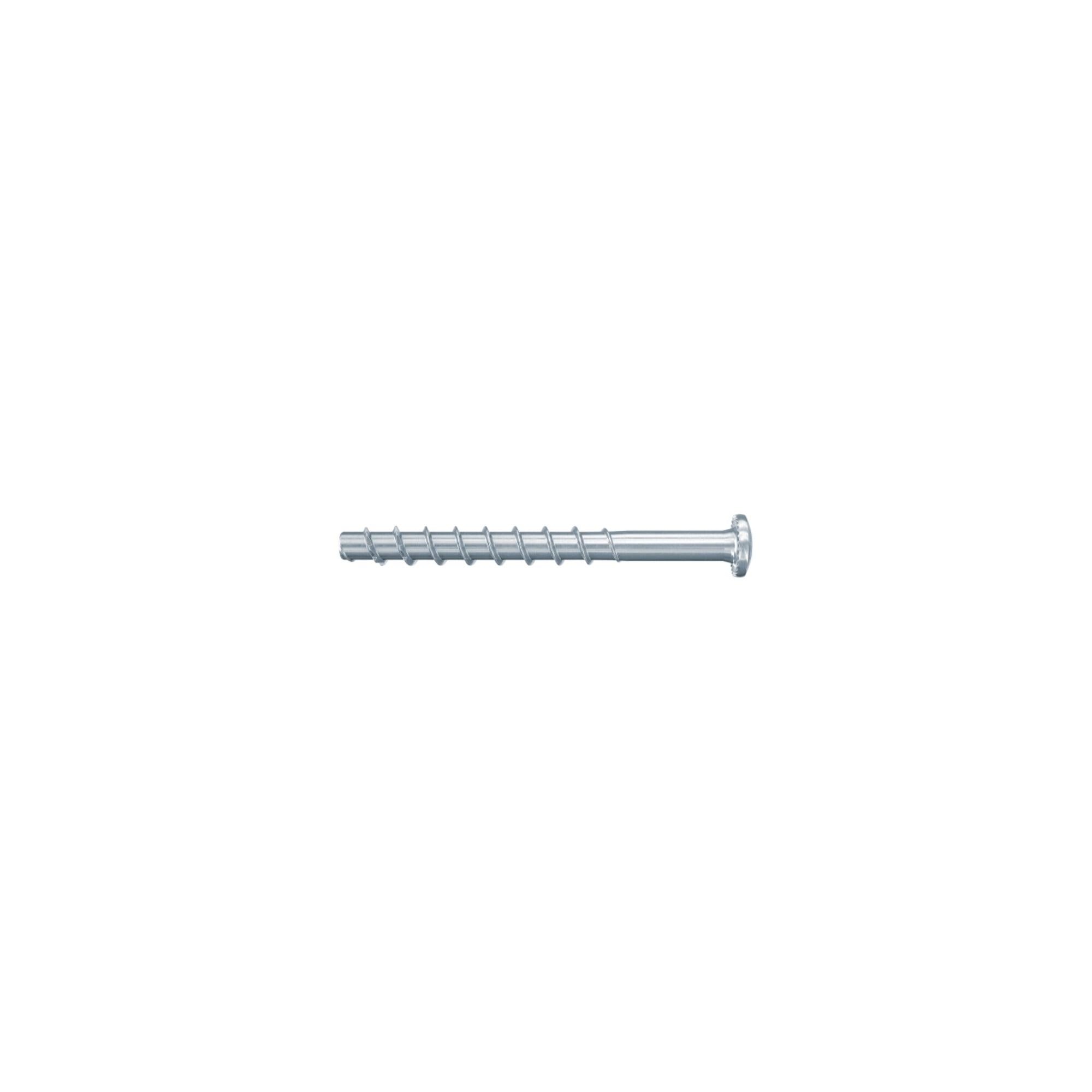 UltraCut FBS 4x30 1 P ; fischer (579370)