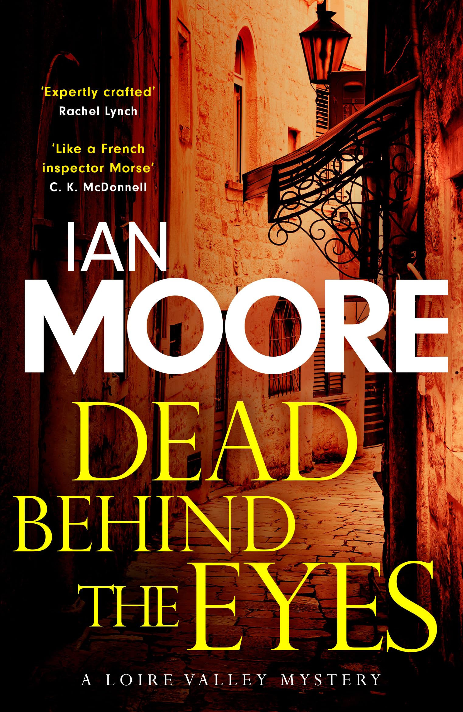 Dead Behind the Eyes: A slickly plotted murder mystery set in France's Loire Valley (Loire Valley Mystery) - Preis vom 14.10.2026 23:07:16 h