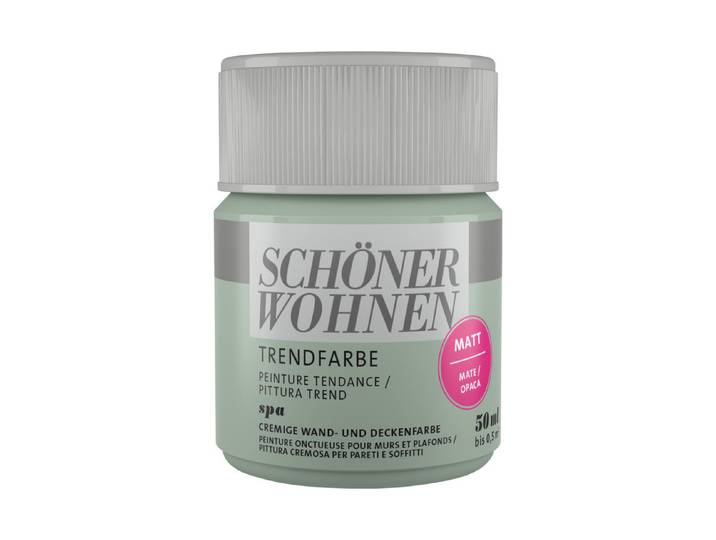 Schöner Wohnen Farbige Dispersion Trendfarbe 50 ml