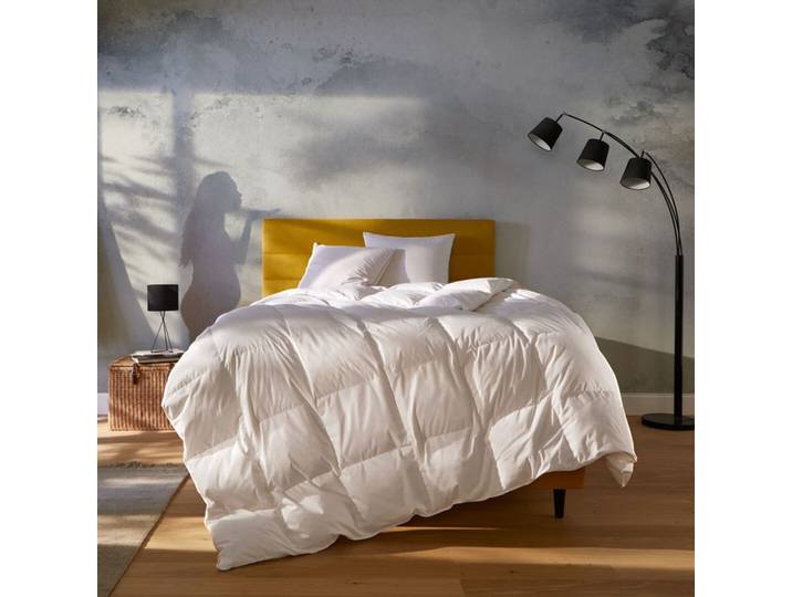Couette tempérée 260x240cm NUIT FAUBOURG LUTETIA