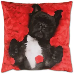 Bestlivings Kissenhülle Fotodruck 40x40 Hund mit Füllung