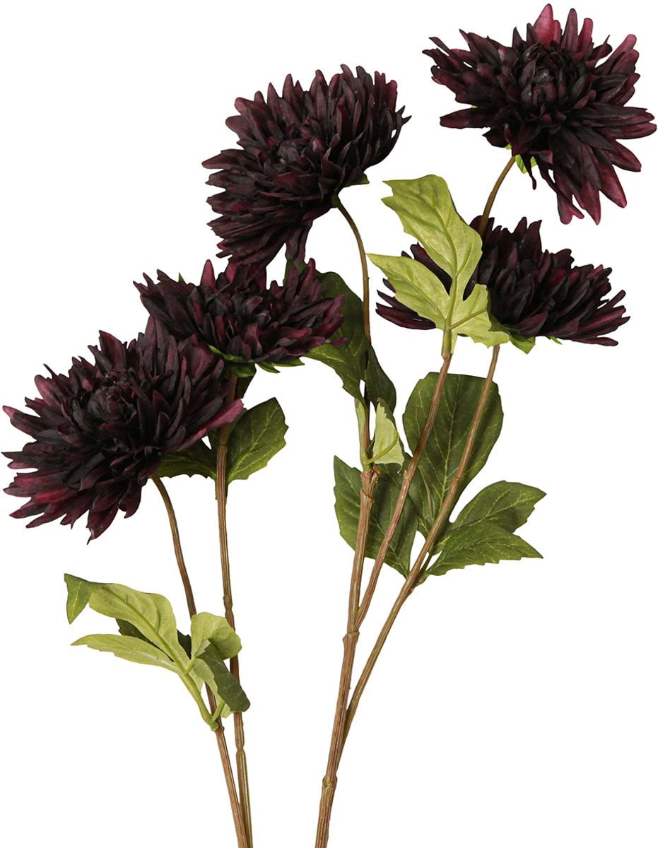 Flor und Decor Kunstbloemdahlia met 5 bloemen in bordeauxrood, Hoogte: 105 cm