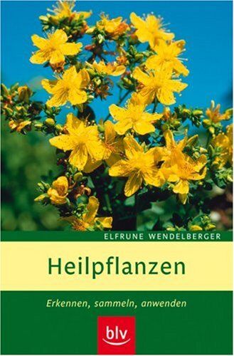 Elfrune Wendelberger - Heilpflanzen: Erkennen, sammeln, anwenden - Preis vom 06.10.2026 07:26:00 h