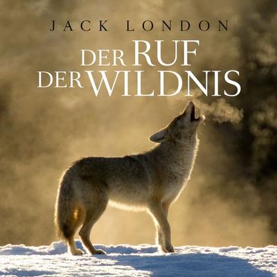 Der Ruf der Wildnis - Jack London,Thomas Tippner, Audio, 9783959952682