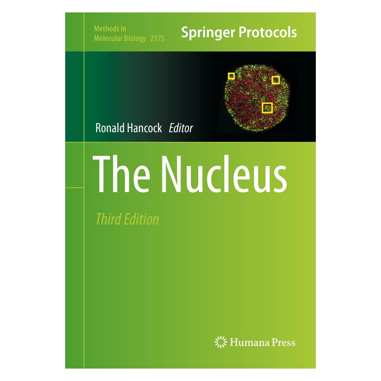 Springer The Nucleus (9781071607626)