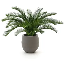 + 10 % Kassenrabatt | Designplants/Luca Lifestyle Cycas Palme Kunstpflanze (h:60 cm) mit Bordo Balloon Blumentopf
