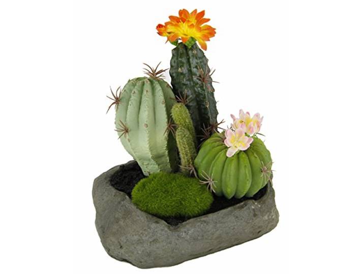Flair Flower Künstliche Kakteen im Stein, 19 x 15 x 14 cm