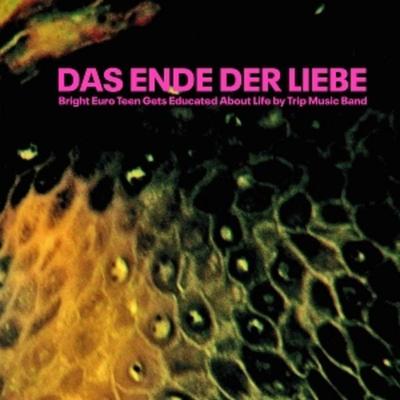 Bright Euro Teen Gets Educated About Life by Trip - Das Ende der Liebe, Vinyl