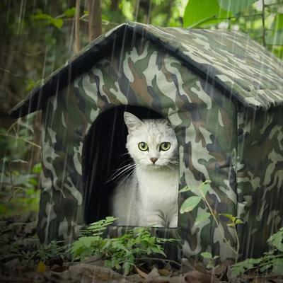Uplifted Finds Collapsible Outdoor Cat House Waterproof Windproof Winter Pet Shelter Tent m Size